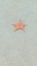 Playa Estrella